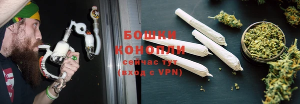 индика Осинники