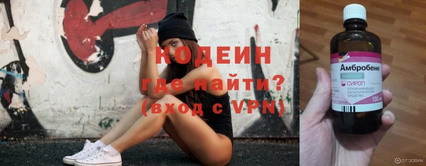 индика Осинники