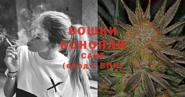 бошки Осташков