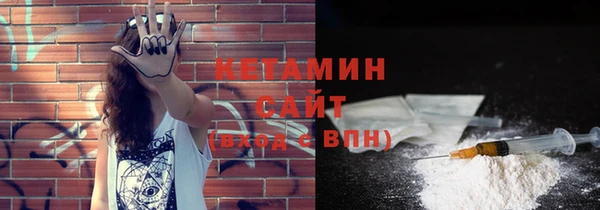 индика Осинники