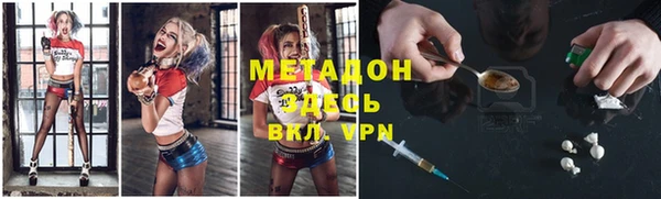 индика Осинники