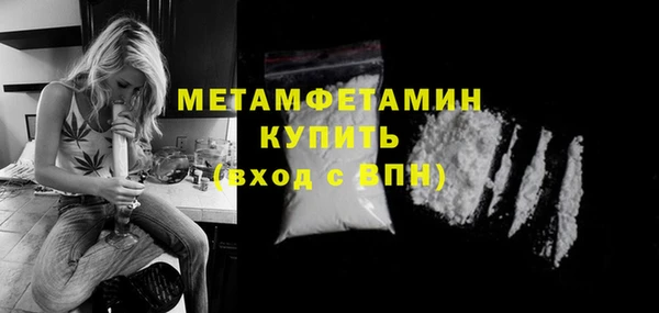 индика Осинники