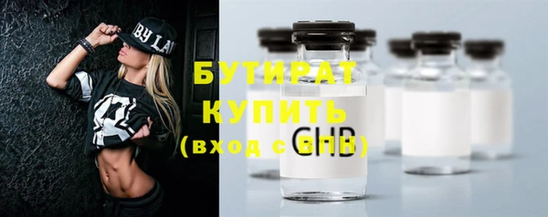 индика Осинники