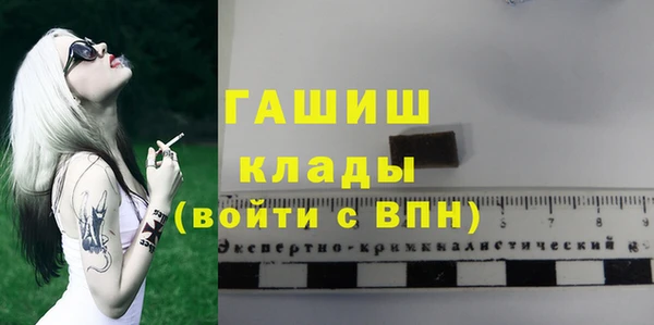 индика Осинники