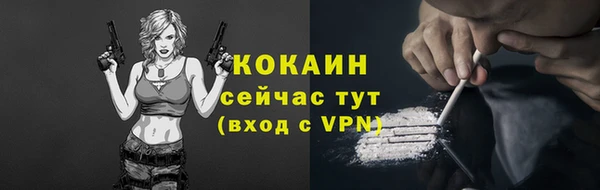 индика Осинники