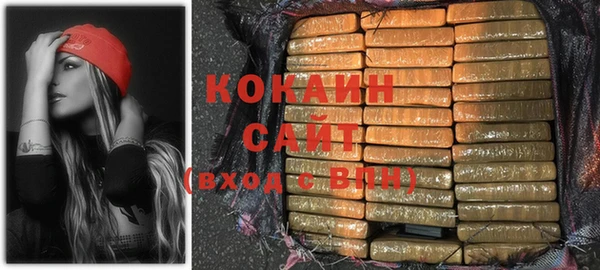 индика Осинники