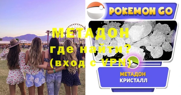 индика Осинники