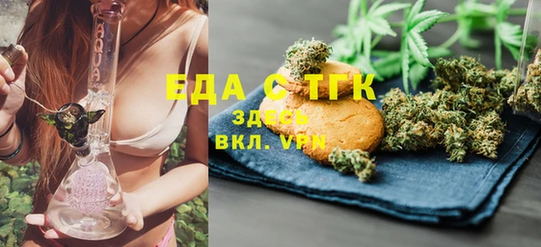 индика Осинники