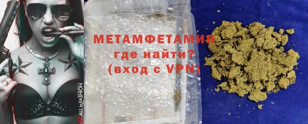 индика Осинники