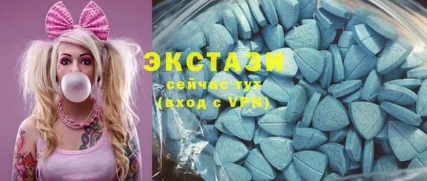 индика Осинники