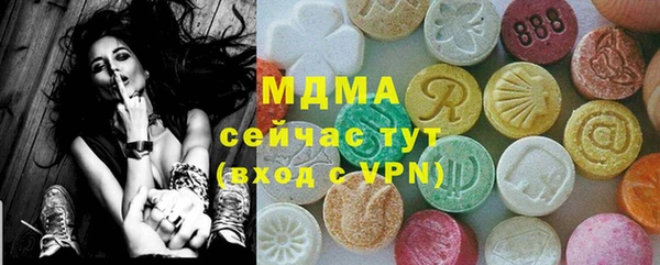 индика Осинники