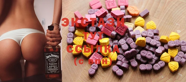индика Осинники