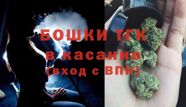 индика Осинники