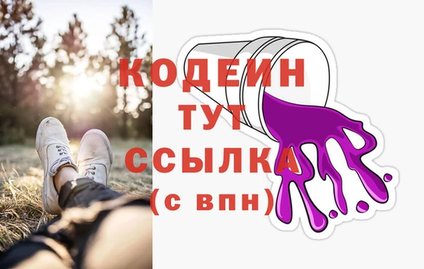 индика Осинники