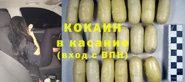 индика Осинники
