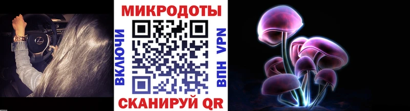 Купить  Губкинский  Галлюциногенные грибы Psilocybe 